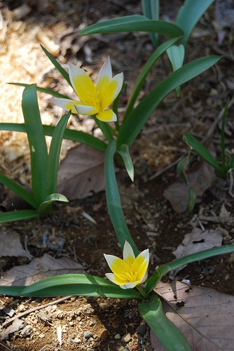 c0124100_22443312.jpg