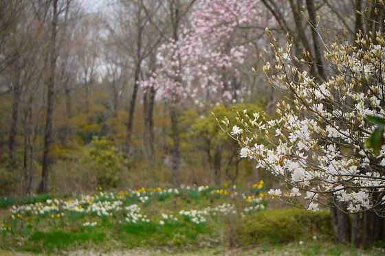 赤城自然園・・・群馬県_b0066502_1395348.jpg