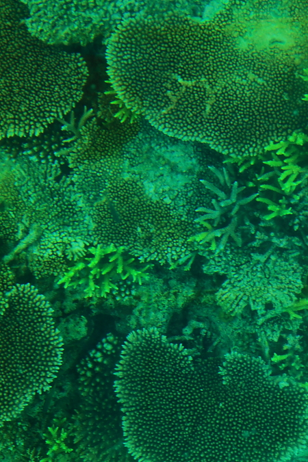 e0174008_17103953.jpg
