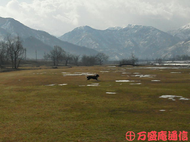 b0172209_945792.jpg