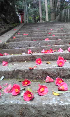c0180209_14301720.jpg