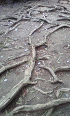 c0180209_1633284.jpg