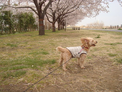b0199912_13134.jpg