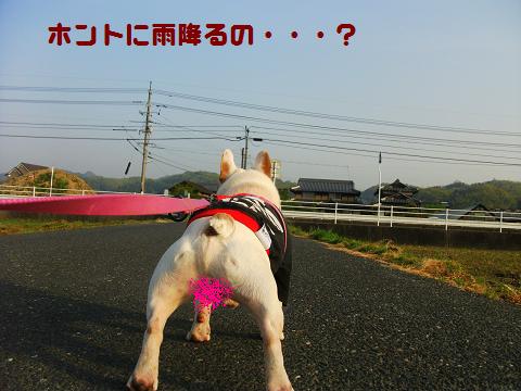 a0158613_1657598.jpg