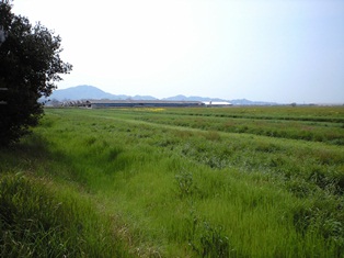 f0207016_1121235.jpg