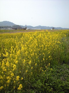 f0207016_11262538.jpg
