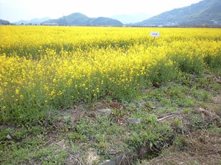 f0207016_1137204.jpg