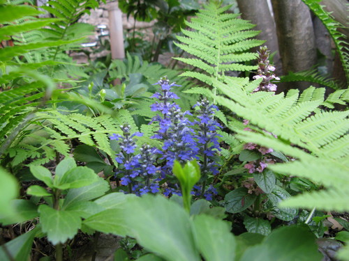 e0030917_18304320.jpg
