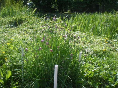 c0124619_824342.jpg