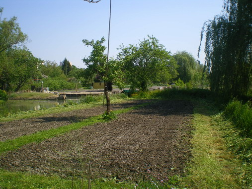 c0124619_85840.jpg