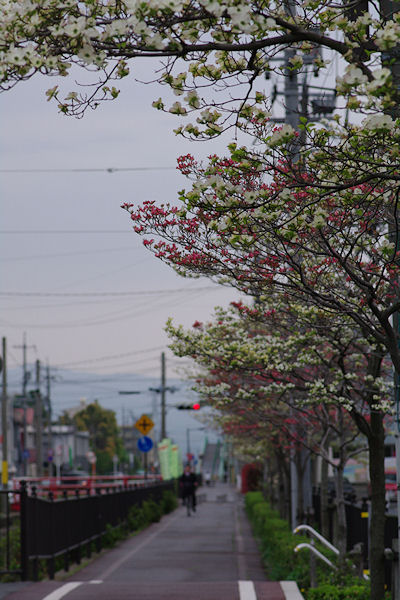 f0007926_10412051.jpg