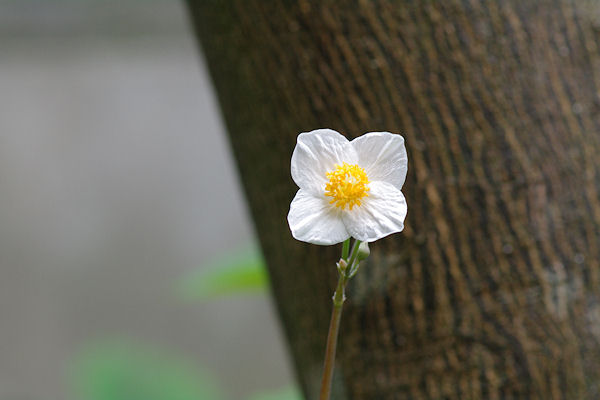 f0007926_10474651.jpg