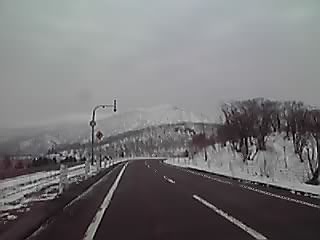 久々のワンコーズのお散歩です_e0145441_2215577.jpg