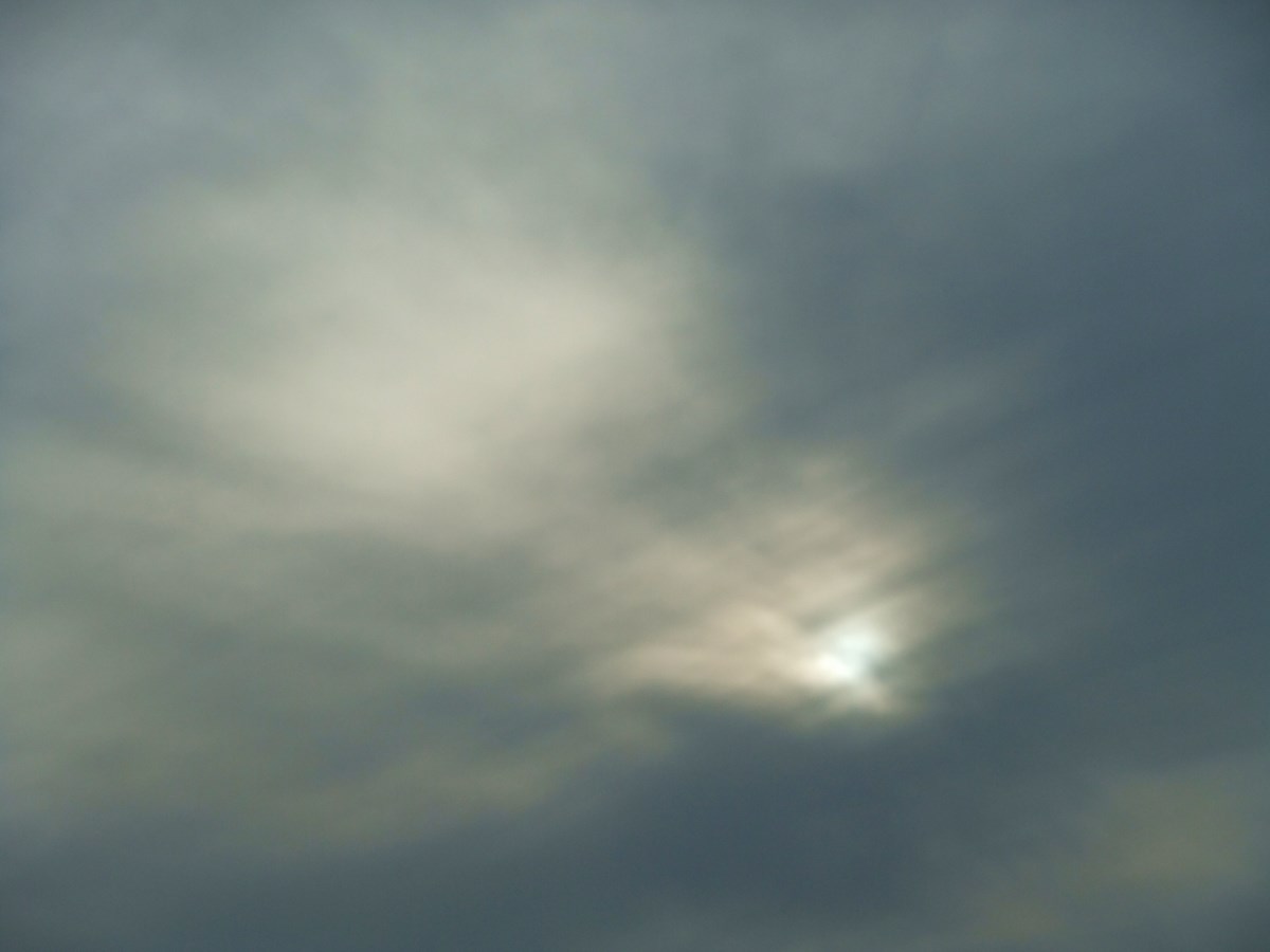 e0206242_10365726.jpg