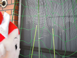 d0197949_19101318.gif