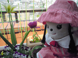d0197949_199415.gif