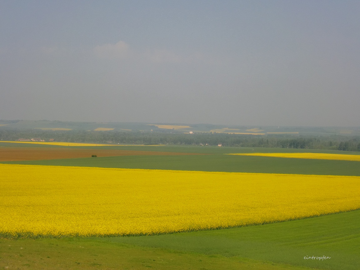 f0174549_1813313.jpg