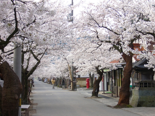 b0174451_74028.jpg