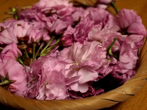 ☆八重桜の花と、絵本と☆_c0092953_23133478.jpg