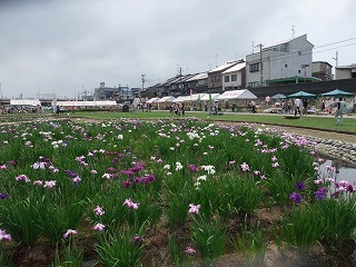 おやべ祭り実行委員会総会_c0208355_17554324.jpg