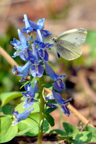 b0165760_22292536.jpg