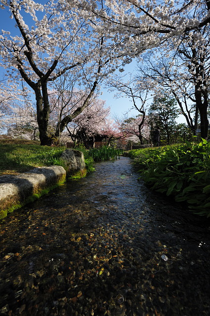 f0222161_23696.jpg