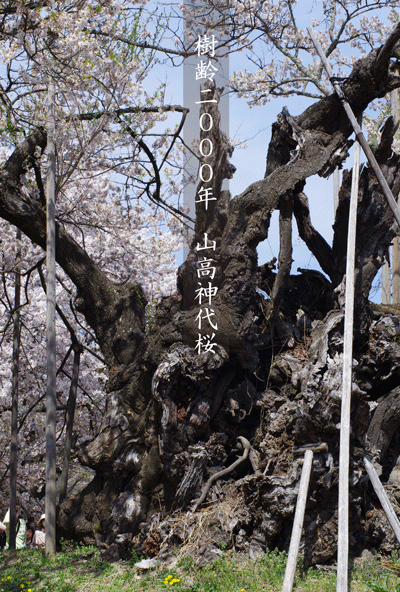 f0227975_1111840.gif