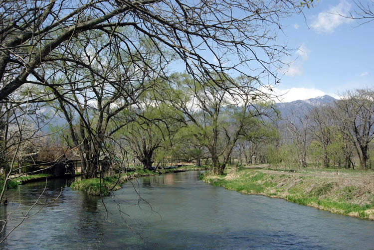 c0054876_17383936.jpg