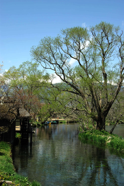 c0054876_194082.jpg