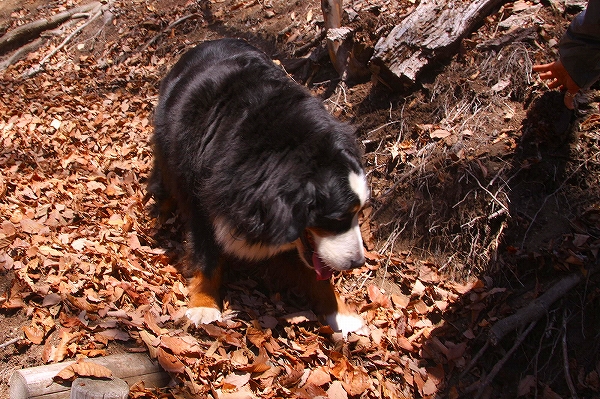 c0149178_18863.jpg