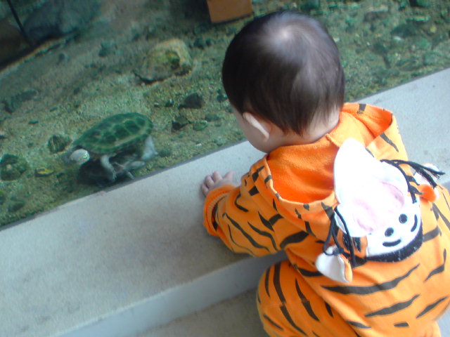 c0153978_21254137.jpg
