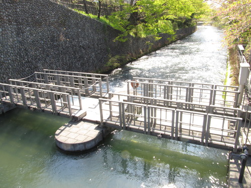 愛知からのシ者_b0136783_2332107.jpg