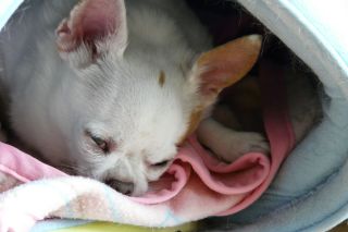 移動激しく_b0098584_2141116.jpg