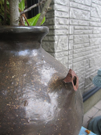 b0182884_22584920.jpg