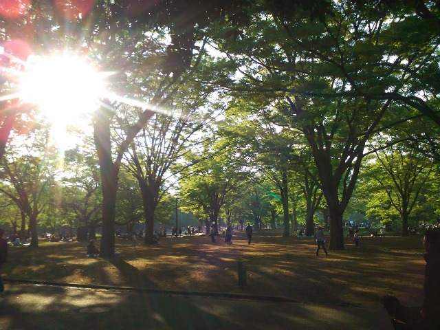 f0061585_01546.jpg