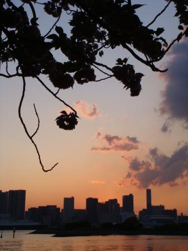 東京出張_f0201286_19162375.jpg