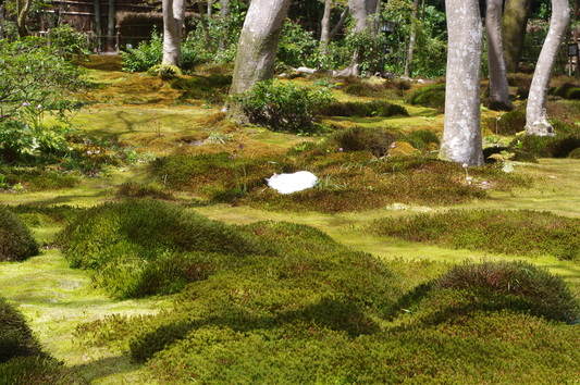 c0068891_14373387.jpg