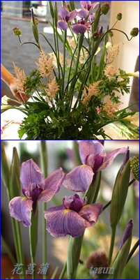 渋く花菖蒲_d0144095_2220023.jpg