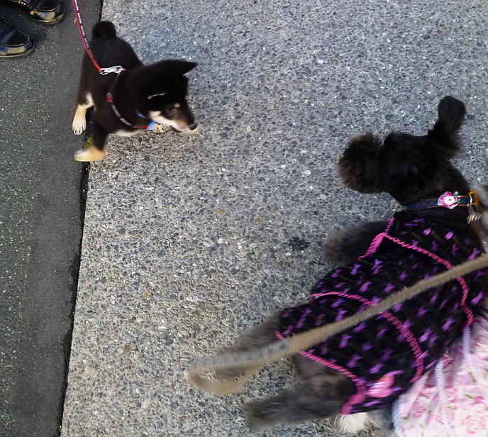 c0138198_13553190.jpg