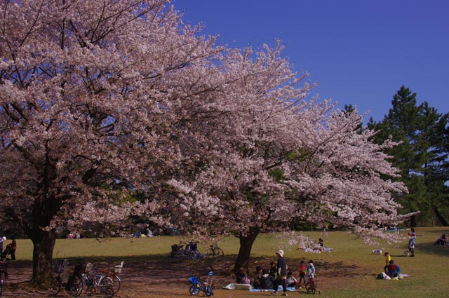 e0138005_22525993.jpg