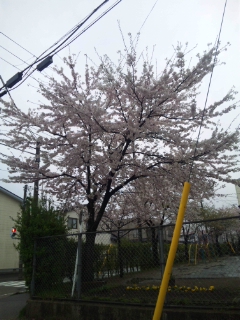 d0005807_7372194.jpg