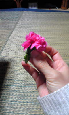 c0180209_19293743.jpg