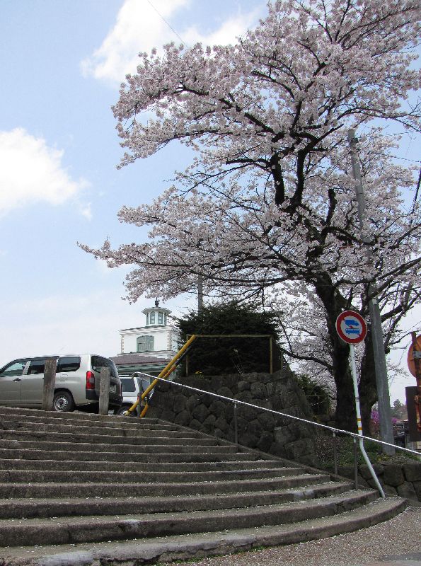 高山の桜 just now_c0036317_6131096.jpg