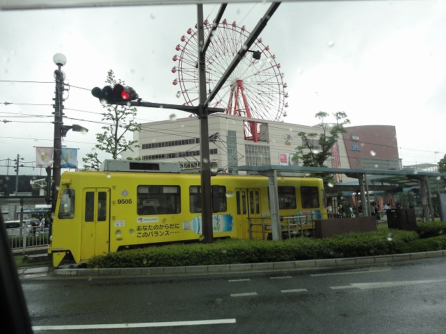 M、鹿児島へ行くの巻!!_a0110720_14432241.jpg