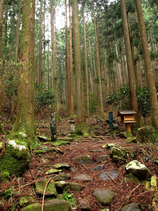 熊野古道編(12)：石屑の坂道(10.3)_c0051620_6185222.jpg