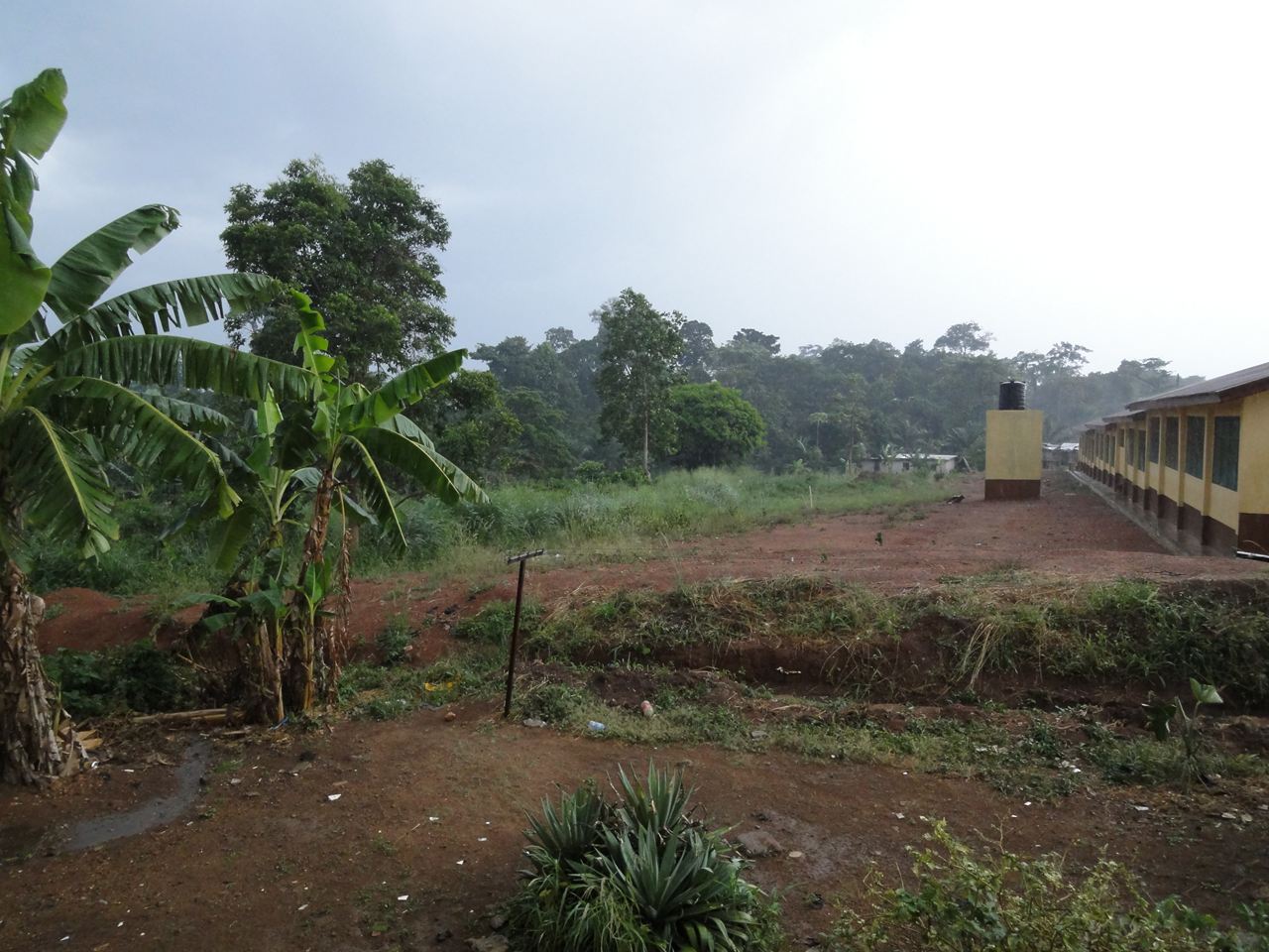 b0207724_20455639.jpg