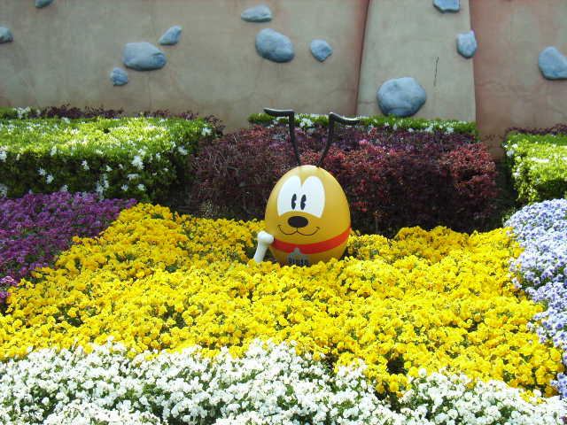 e0177824_20295557.jpg
