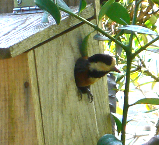 f0060424_13205052.jpg