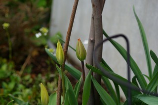 f0170524_13261990.jpg