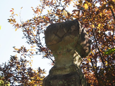 f0013029_14362743.jpg